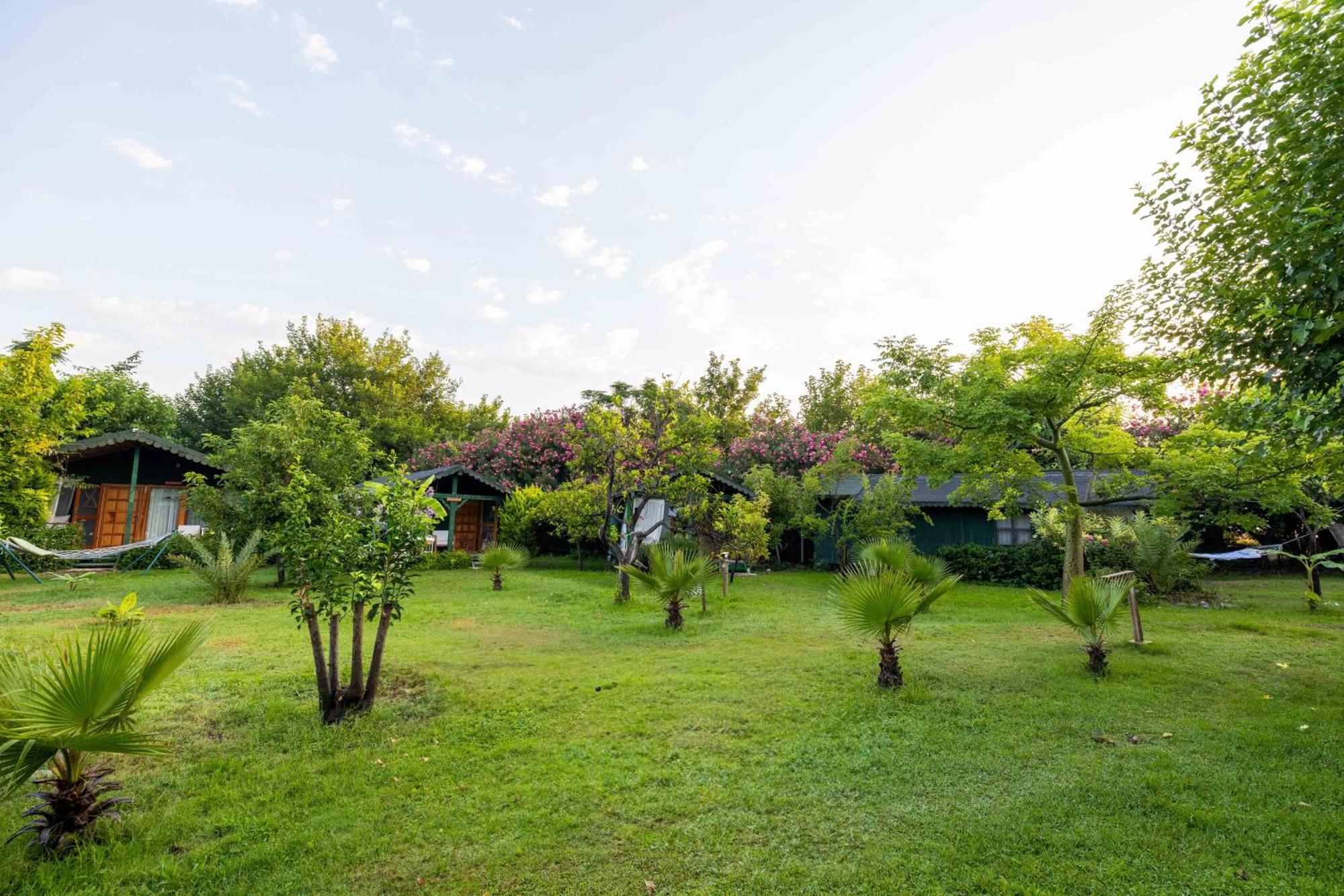 Etenna Beach Bungalows Çıralı Exterior foto